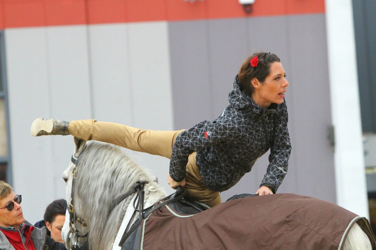 82530211_2501158940102360_1872851215616835584_n